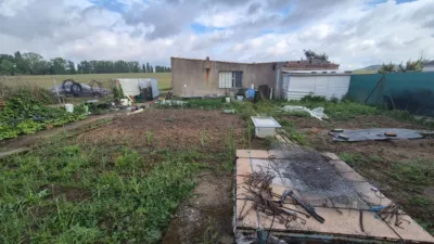 Rustic finca in Laguna de Duero photo 10