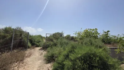 Casa – Elx - Elche - Vista 3