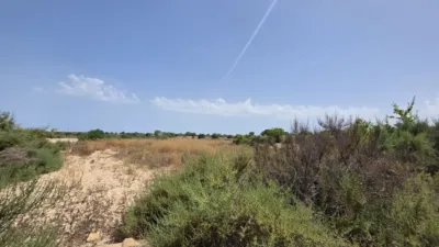 Casa – Elx - Elche - Más