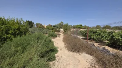 Casa – Elx - Elche - Vista 4