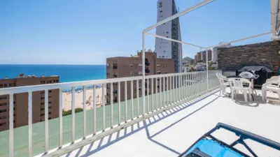 Pis – Benidorm - Vista 4