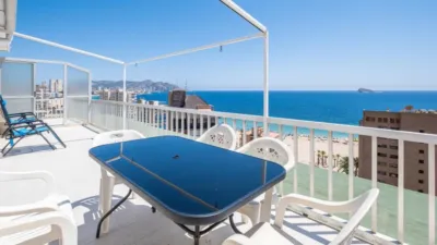Pis – Benidorm - Vista 3