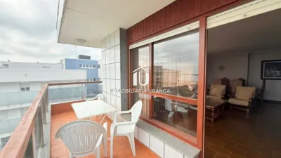 Apartment in Playa Area photo 3