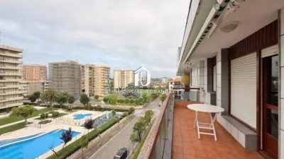Apartment in Playa Area photo 18