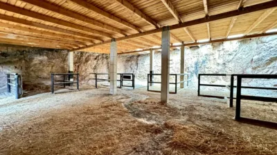 Rustic Finca in Las Majadas-Las Molinetas-El Labradorcico photo 14