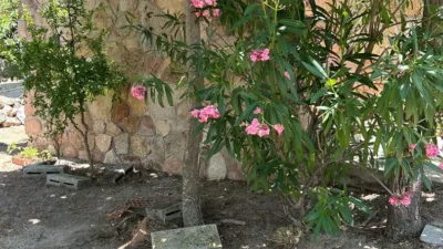 Chalet in Colmenarejo photo 24
