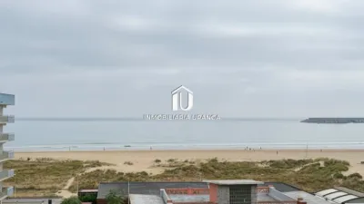 Apartment in Playa Area photo 4