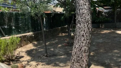 Chalet in Colmenarejo photo 21