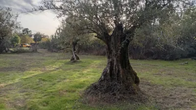 Rustic Finca in Villanueva de La Vera photo 4