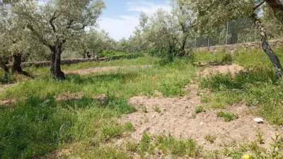 Rustic Finca in Villanueva de La Vera photo 37