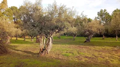 Rustic Finca in Villanueva de La Vera photo 2