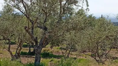 Rustic Finca in Villanueva de La Vera photo 18
