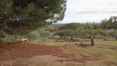 Rustic finca in Villanueva de La Vera photo 46