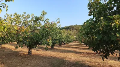 Rustic Finca in Madrigal de La Vera photo 3