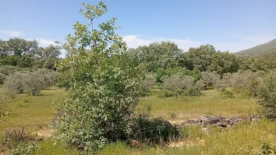 Rustic finca in Villanueva de La Vera photo 111