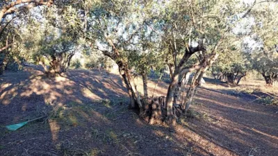 Rustic Finca in Villanueva de La Vera photo 59