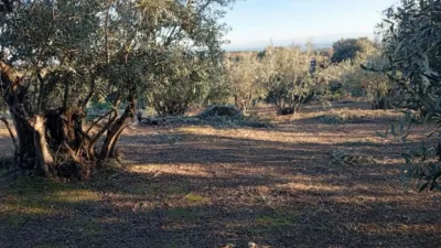 Rustic Finca in Villanueva de La Vera photo 28