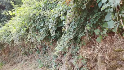 Rustic finca in Madrigal de La Vera photo 15