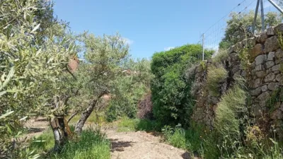 Rustic Finca in Villanueva de La Vera photo 67