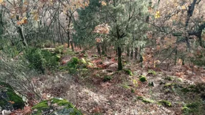 Rustic Finca in Villanueva de La Vera photo 20
