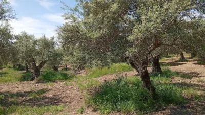 Rustic Finca in Villanueva de La Vera photo 63