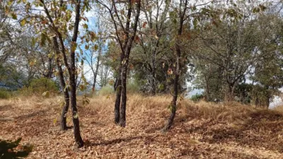 Rustic Finca in Villanueva de La Vera photo 15