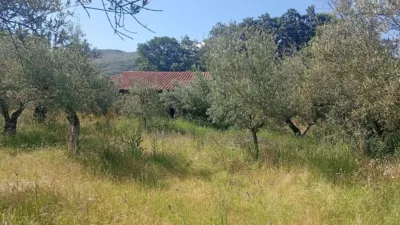 Chalet in Villanueva de La Vera photo 41