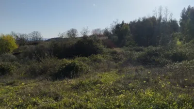 Rustic finca in Viandar de La Vera photo 17