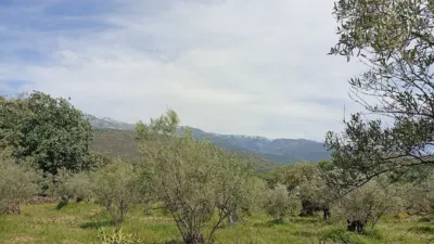 Rustic finca in Villanueva de La Vera photo 56