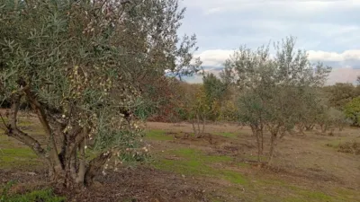 Rustic finca in Villanueva de La Vera photo 63