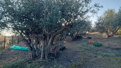 Rustic Finca in Villanueva de La Vera photo 34