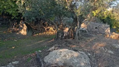 Rustic Finca in Villanueva de La Vera photo 32
