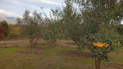 Rustic finca in Villanueva de La Vera photo 55