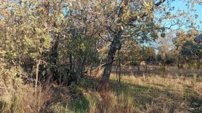 Rustic farm in Viandar de La Vera photo 36