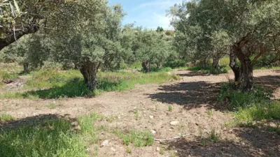 Rustic Finca in Villanueva de La Vera photo 48