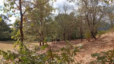 Rustic Finca in Villanueva de La Vera photo 17