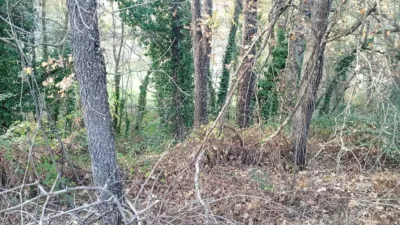 Rustic Finca in Viandar de La Vera photo 3
