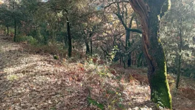 Rustic Finca in Villanueva de La Vera photo 9