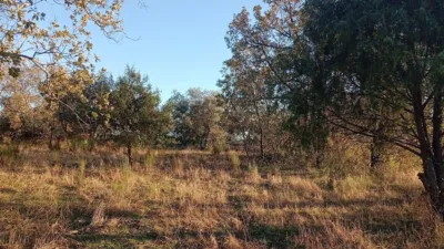 Rustic farm in Viandar de La Vera photo 37