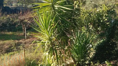 Rustic finca in Villanueva de La Vera photo 34