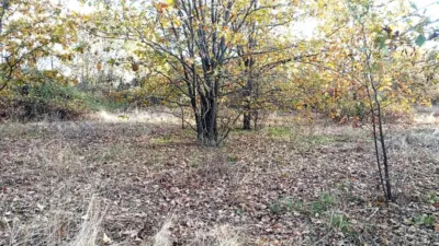 Rustic farm in Viandar de La Vera photo 25