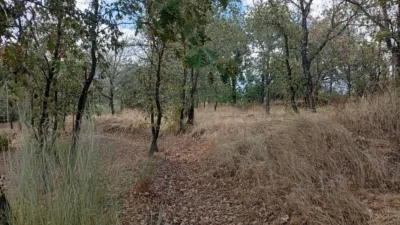 Rustic Finca in Villanueva de La Vera photo 49