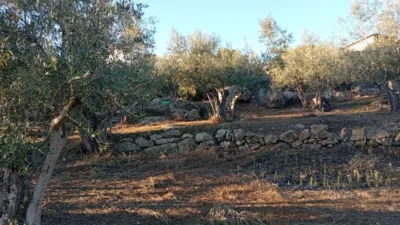 Rustic Finca in Villanueva de La Vera photo 48