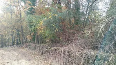 Rustic Finca in Viandar de La Vera photo 9