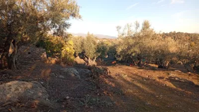 Rustic Finca in Villanueva de La Vera photo 68