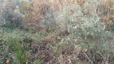 Rustic Finca in Viandar de La Vera photo 5