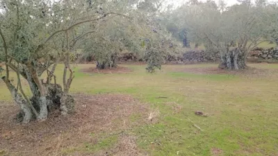 Rustic finca in Villanueva de La Vera photo 24