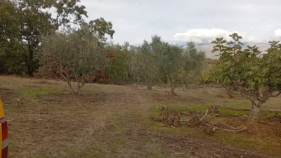 Rustic finca in Villanueva de La Vera photo 67