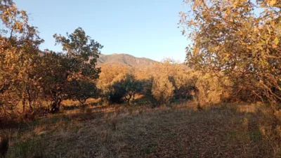 Rustic farm in Viandar de La Vera photo 5