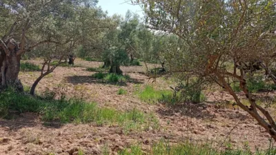 Rustic Finca in Villanueva de La Vera photo 15
